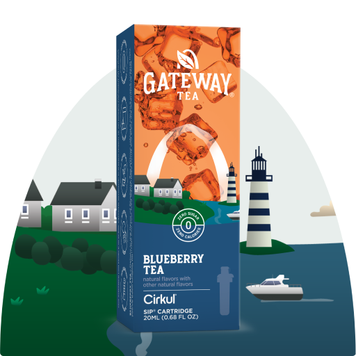 Gateway Blueberry Tea - Clean Bundle R4