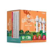Gateway Tea® 6-Pack Variety Pack - Bright Touch C9